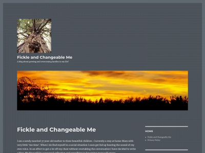 fickleandchangeable.com snapshot
