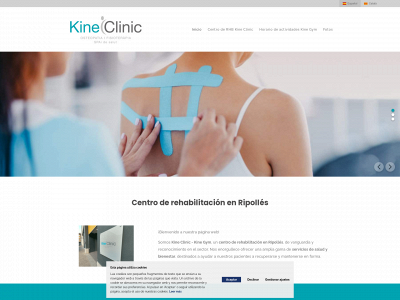 kineclinic.com snapshot
