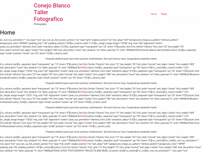 conejoblancotaller.com snapshot