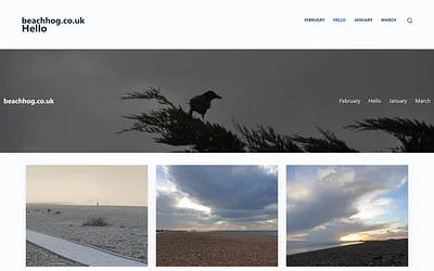 beachhog.co.uk snapshot