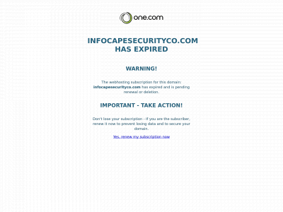 infocapesecurityco.com snapshot