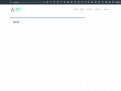 projectsmind.com snapshot