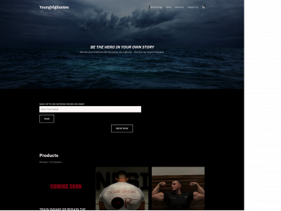 youngvigilante.se snapshot