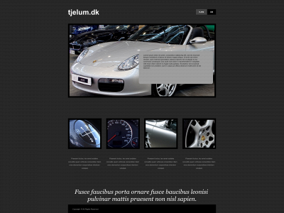 tjelum.dk snapshot
