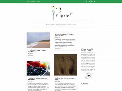 13thingsilove.com snapshot