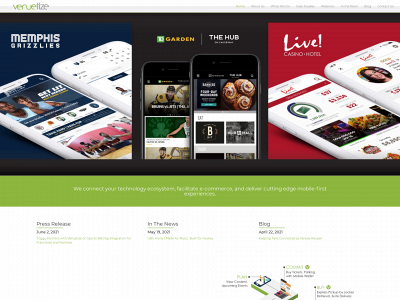 www.venuetize.com snapshot
