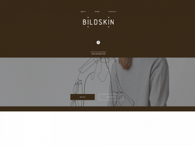 bildskin.nl snapshot
