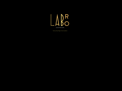 labrojewellery.com snapshot