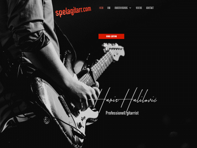 spelagitarr.com snapshot