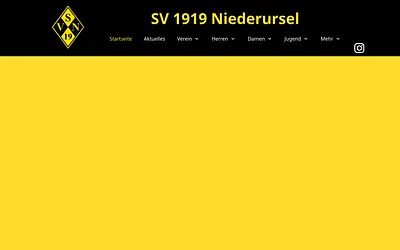 svniederursel.de snapshot