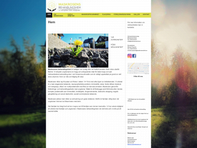 maskrosenshvb.se snapshot