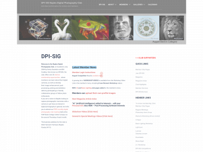 dpi-sig.org snapshot