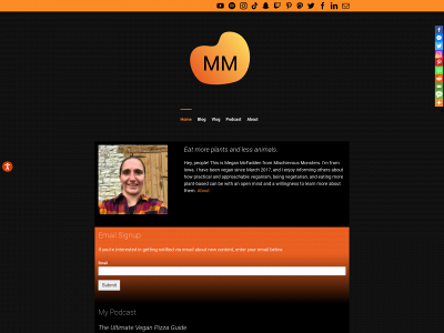 megantmcfadden.com snapshot