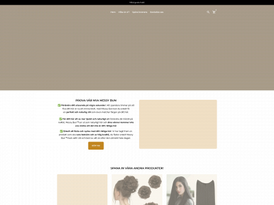 zayfeel.se snapshot