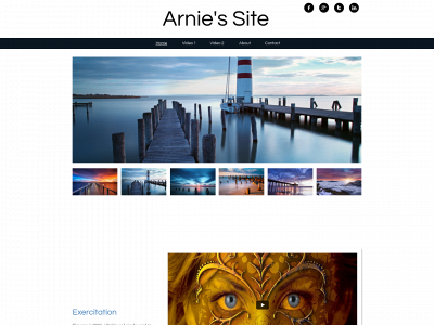 arniessite.com snapshot