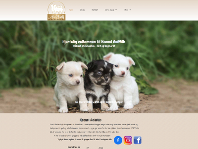 kennel-aniwills.dk snapshot