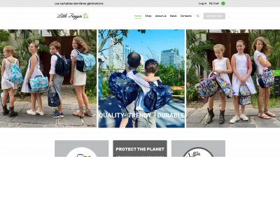 littlefroggiessupplies.com snapshot