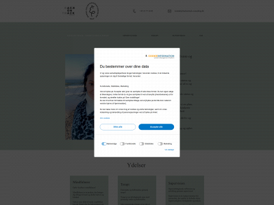 backontrack-consulting.dk snapshot