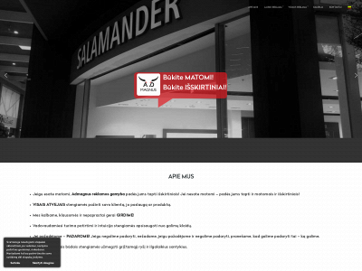 admagnus.lt snapshot