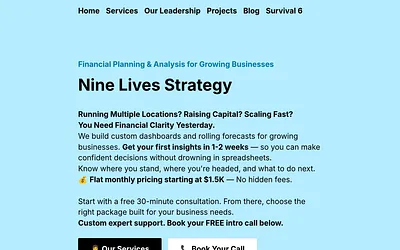ninelivesstrategy.com snapshot