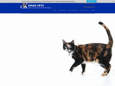 kmanvets.com snapshot