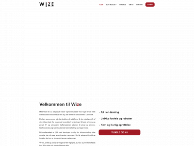 wize.dk snapshot