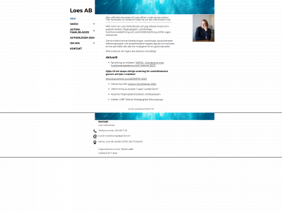 loesvollenbroek.com snapshot