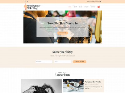 breadwinnerwifeblog.com snapshot