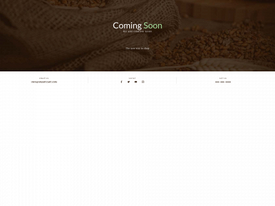 rociogroup.com snapshot
