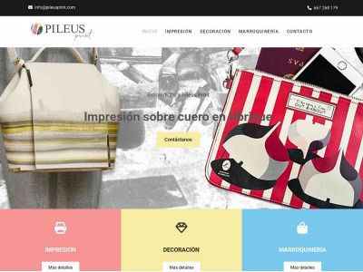 pileusprint.es snapshot