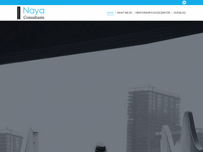 nayaconsultants.com snapshot