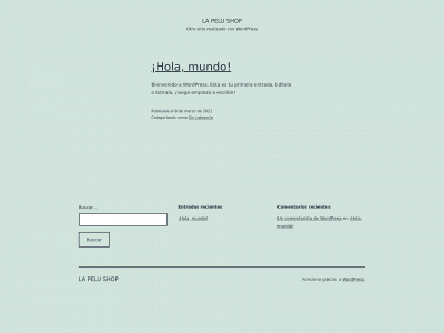 lapelushop.com snapshot