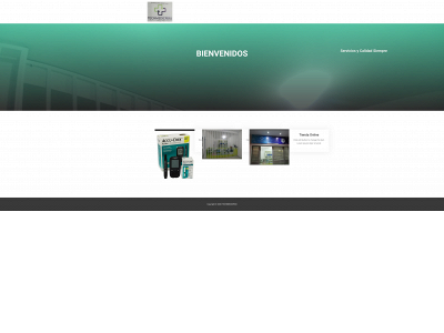 techmedicperu.com snapshot