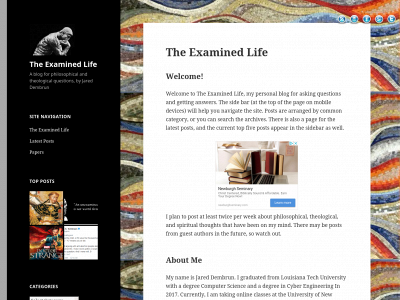 thexaminedlife.net snapshot