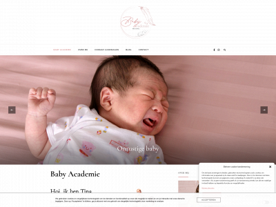 babyacademie.be snapshot