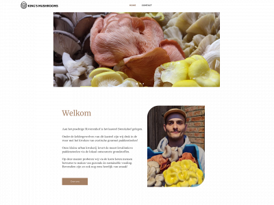 kingsmushrooms.com snapshot