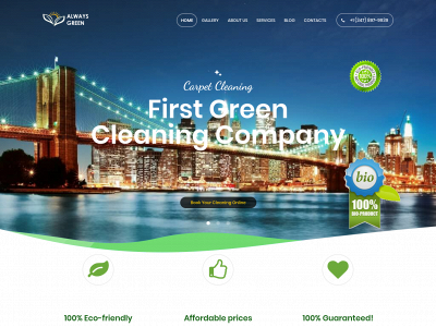 alwaysgreencarpetcleaning.nyc snapshot