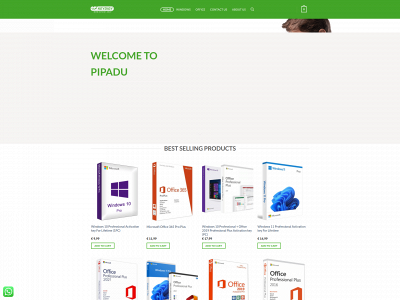 pipadu.com snapshot