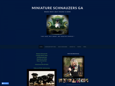 www.schnauzerbreederga.com snapshot