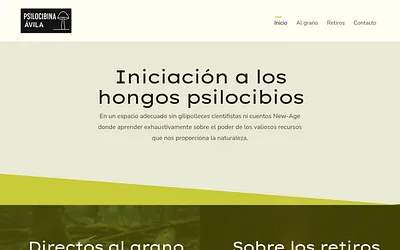 psilocibinaavila.es snapshot