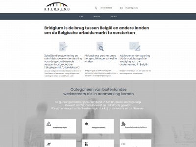 bridgium.be snapshot