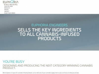 euphoriaengineers.com snapshot