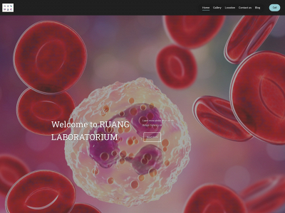 ruanglaboratorium.com snapshot
