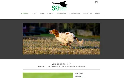 skf-specialklubb.se snapshot