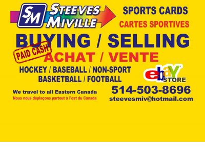 steevesmiville.com snapshot