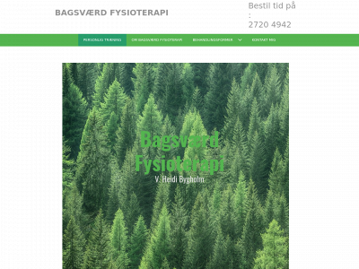 bagsvaerdfys.dk snapshot