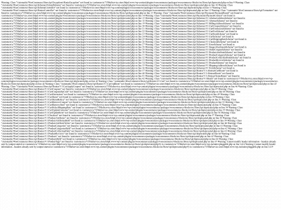 blufservice.store snapshot