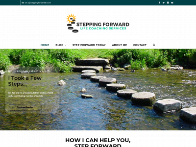 steppingforwardak.com snapshot