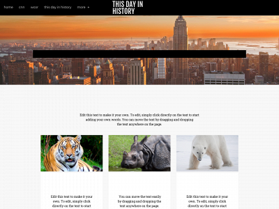 danielnwh.weebly.com snapshot