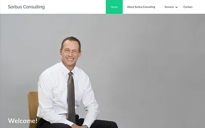 sorbusconsulting.se snapshot